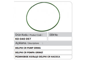 9307-413A Delphi Common Rail Pompa Oringi